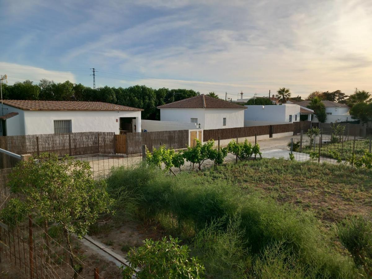 Apartamentos Cala Isabel サオラ エクステリア 写真